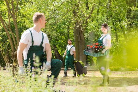 gartenpflege gartenbau berlin hamburg brandenburg orangienburg potsdam g und s TipTop Service Gebäudereinigung preise angebot reinigungsfirma grünpflege